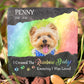 Pet Lovers - I Crossed The Rainbow Bridge Knowing I Was Loved - Personalized Memorial Stones