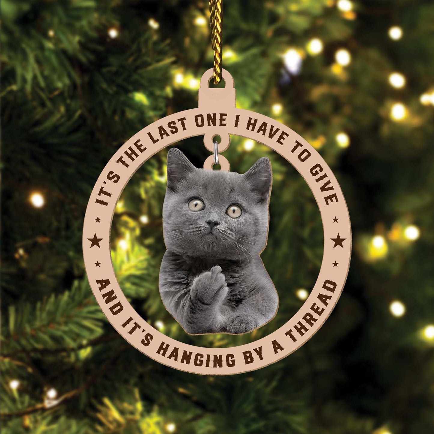 Pet Lover - It's The Last One I Have To Give - Personalized Wooden Cat Ornament