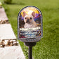 Pet Lover - I'm Always With You - Personalized Solar Light